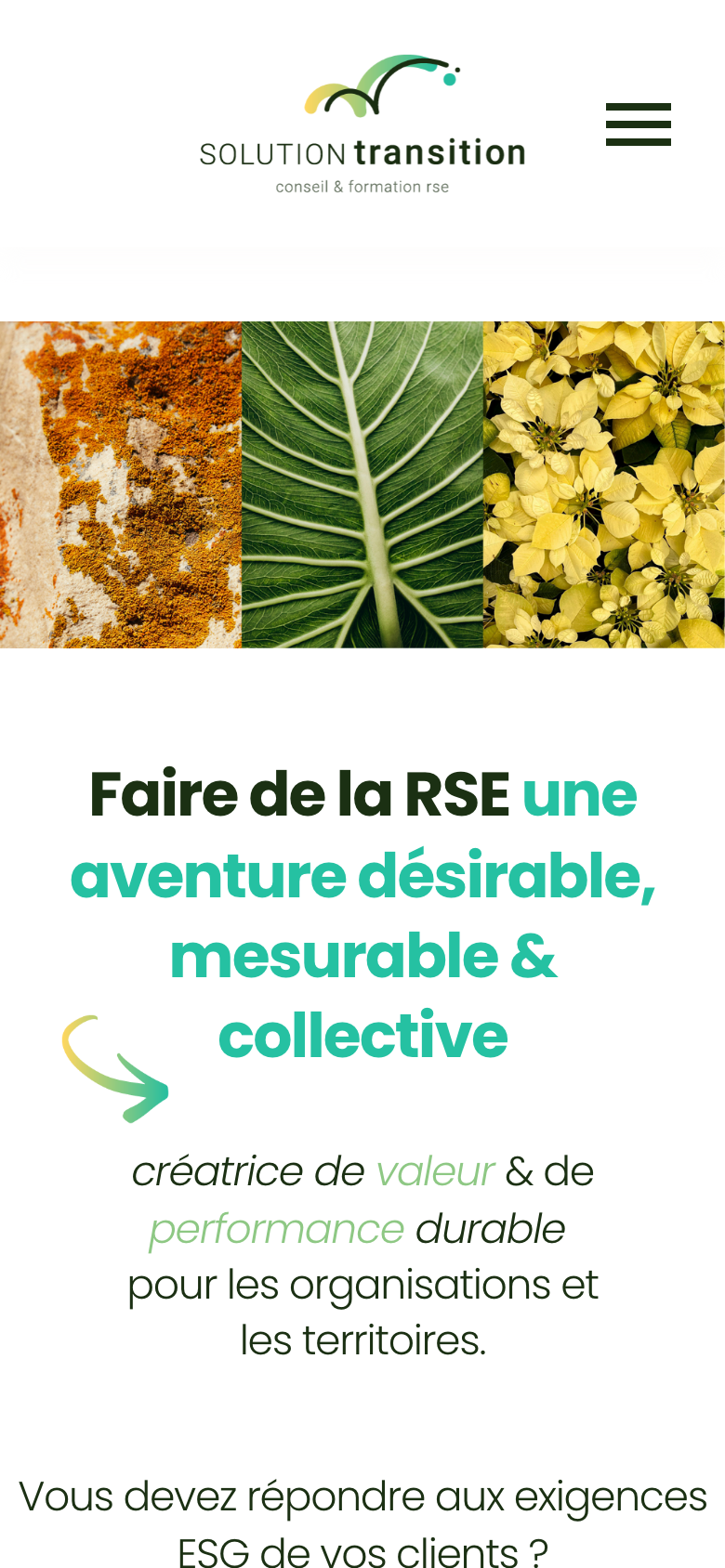 Accueil de Solution Transition sur iPhone